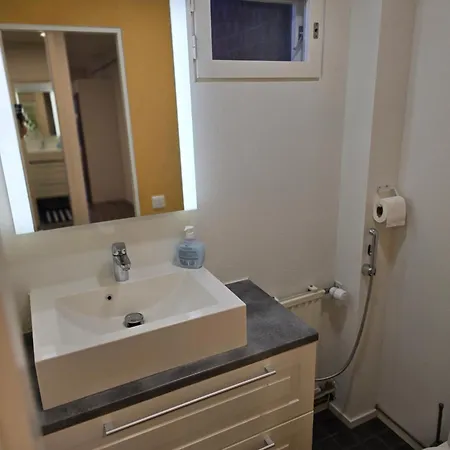 Anttoninvahe 5 - Upea Talo Raumalla *