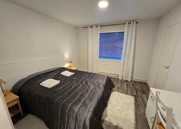 Anttoninvahe 5 - Upea Talo Raumalla *