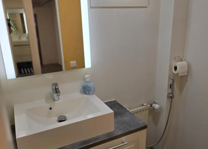 Anttoninvahe 5 - Upea Talo Raumalla *